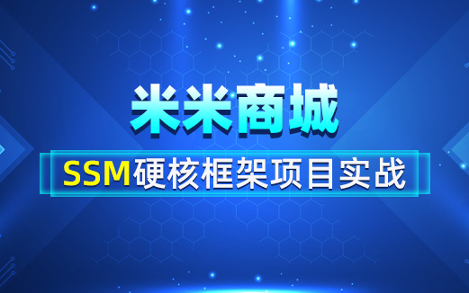 SSM項目視頻教程