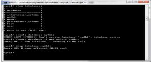 Java DDL之操作數(shù)據(jù)庫視頻教程下載